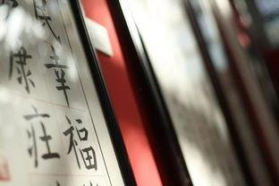 好白相娱乐群,打造欢乐互动的线上乐园