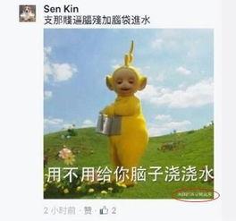 周子瑜事件表情包大战,网络舆论的风暴与反思